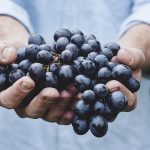 Uvas frescas, lo que el documental sobre la salud