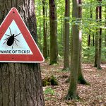 señal de cuidado con las garrapatas en zona boscosa