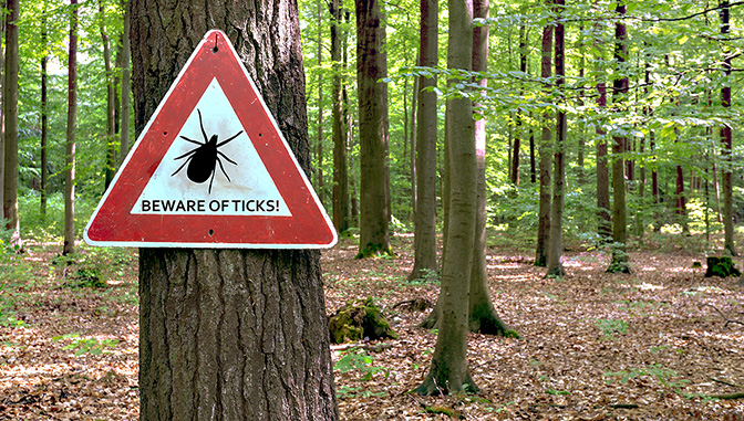 beware of ticks sign in wooded area