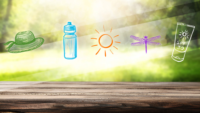 sunlight on a log with a sun hat, water bottle, sun, dragonfly and sunscreen