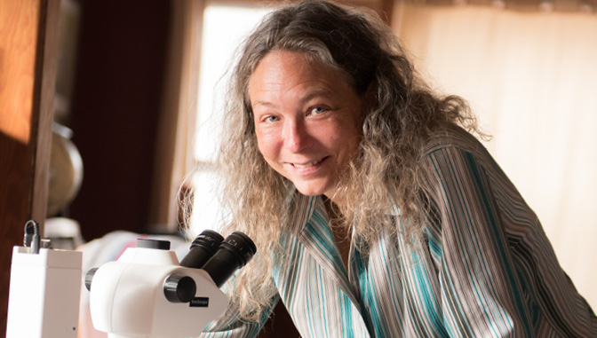 biology degree, natural sciences, sandy adams with a microscope