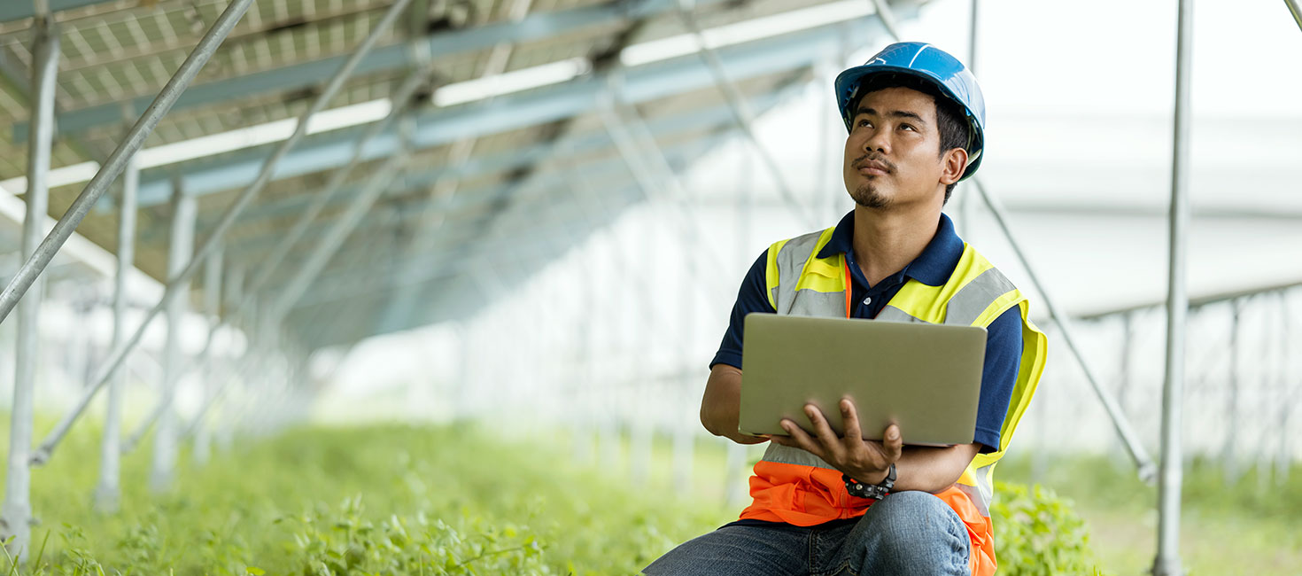 Tech Manager reviewing data in a greenhouse