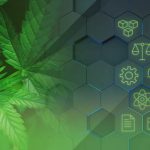 graduate certificate in cannabis control