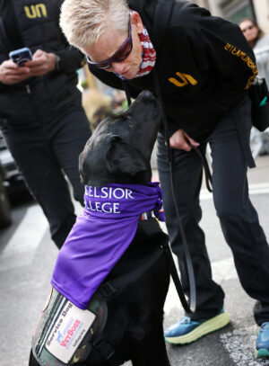 VeteransDay military service dog with Excelsior trustee Gretchen Evans