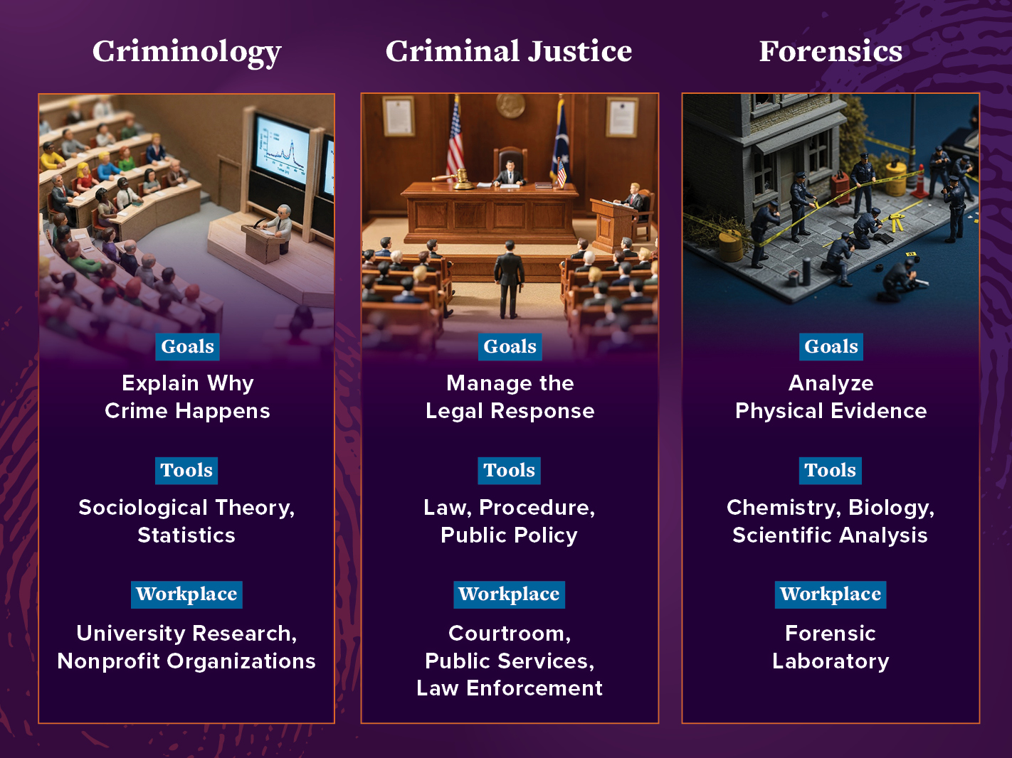 Table comparing criminology vs. criminal Justice vs. forensics