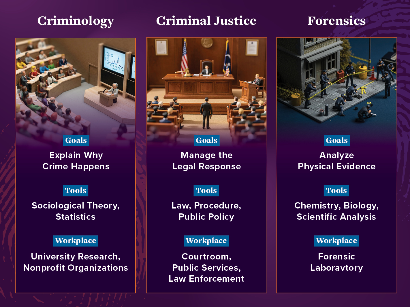 Table comparing criminology vs. criminal Justice vs. forensics